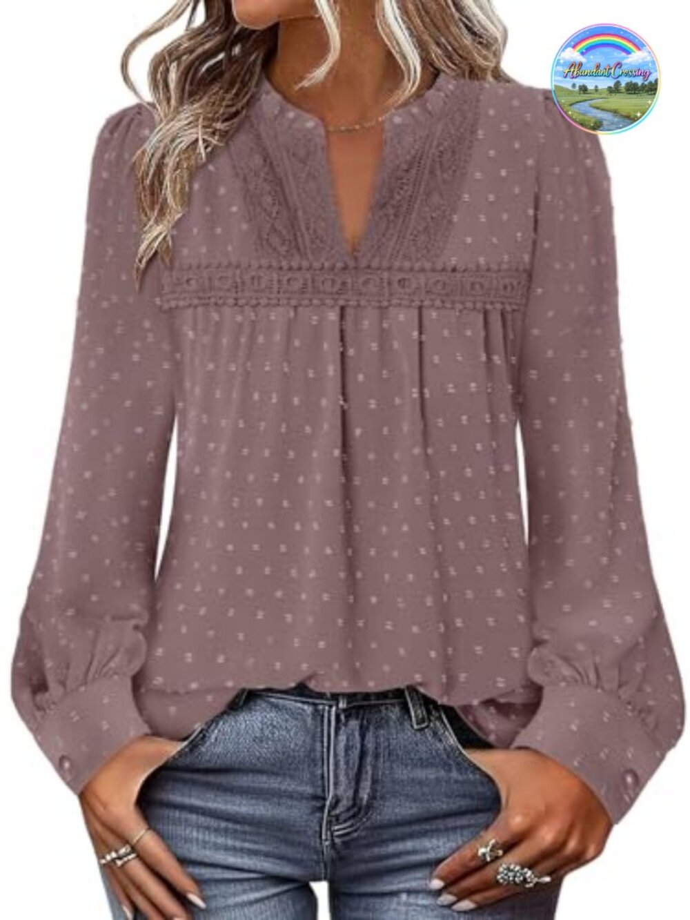 Women's Swiss Dot Chiffon Blouse Long Sleeve V-Neck Lace Pleat Tunic Top